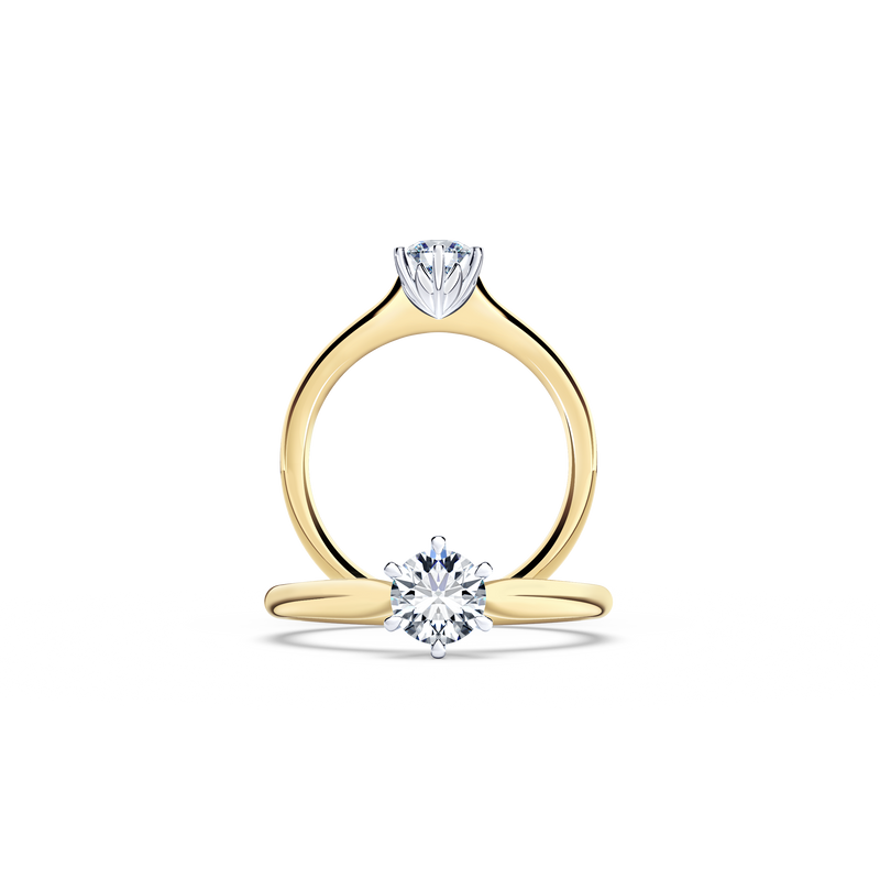 Protea Solitaire Round Brilliant Diamond Ring