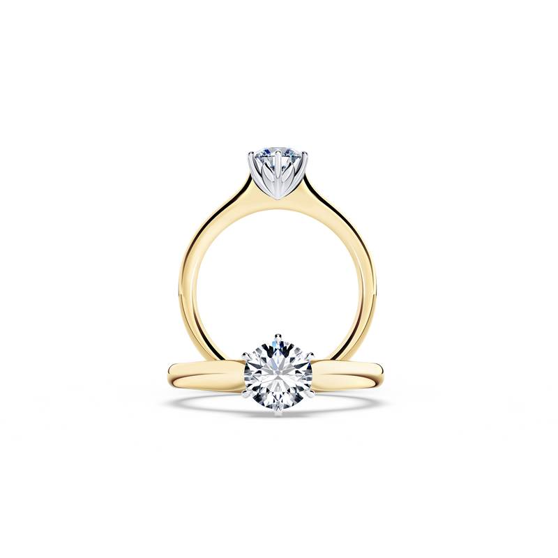 Protea Solitaire Round Brilliant Diamond Ring