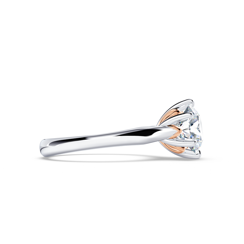 Protea Solitaire Round Brilliant Diamond Ring