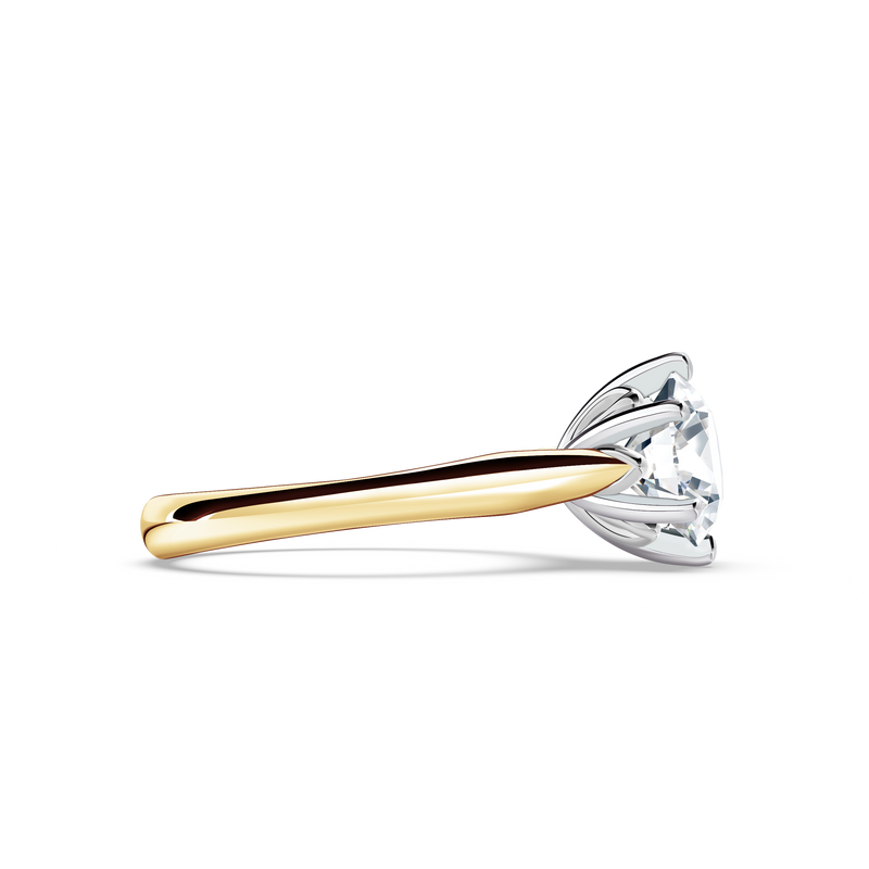 Protea Solitaire Round Brilliant Diamond Ring