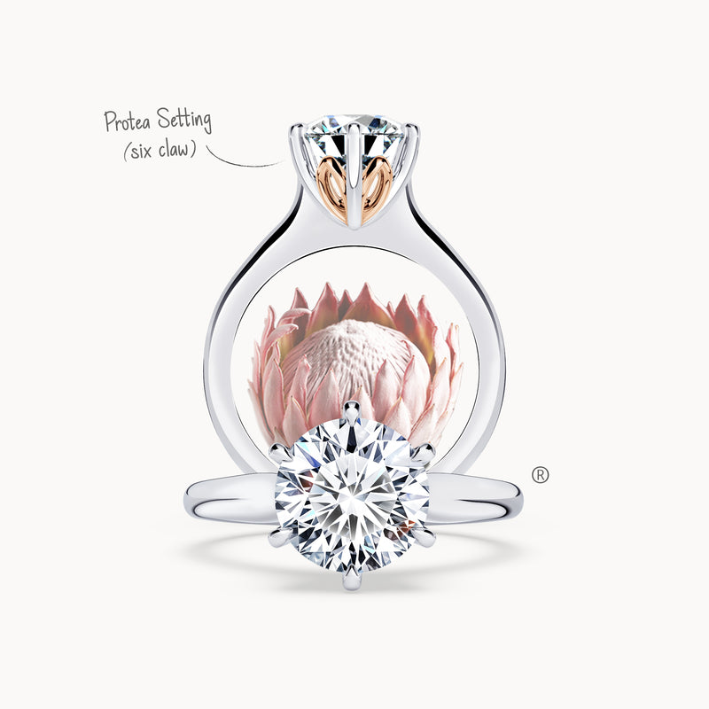Protea Solitaire Round Brilliant Diamond Ring