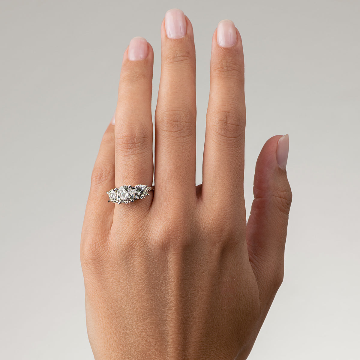 Protea Trilogy Round Brilliant Diamond Ring