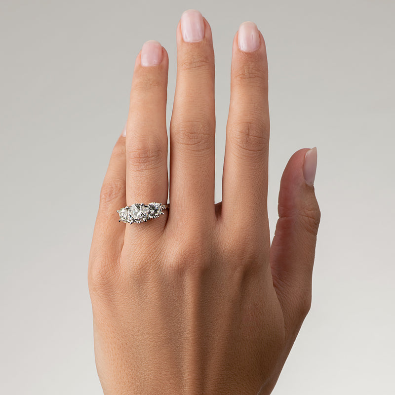 Protea Trilogy Round Brilliant Diamond Ring